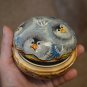 Handmade Gift Souvenir Box made of natural wood Nest with chicks Exclusive