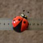 Ladybug Handmade Gift Russian Souvenir Refrigerator Magnet Made in Russia