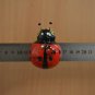 A talisman for good luck Ladybug Gift Russian Souvenir Refrigerator Magnet