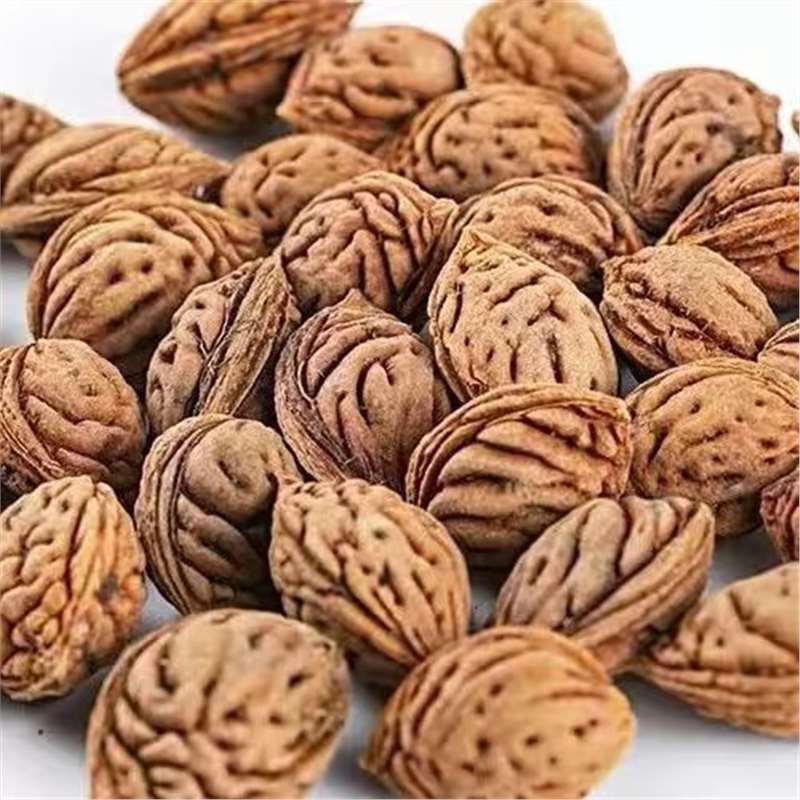 1.1 LB Peach Seeds &aelig;&iexcl;�&ccedil;&sect;�&aring;&shy;�