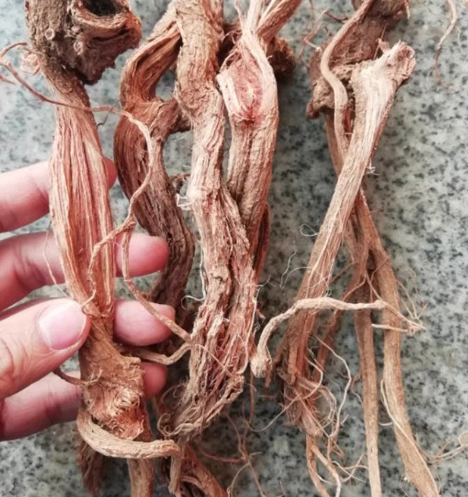 500g Organic Stinging Nettle Root Dried Herbs Red Qian Ma Gen, Nettle Root