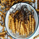 1g Precious Cordyceps sinensis whole dried mushrooms (Yartsa Gunbu, caterpillar fungus)