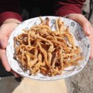 250 GR (8.8 OZ) Organic Solomon’s Seal Roots Dried Yu Zhu Root 玉竹