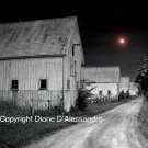 Sanford Farms Black and White Photography