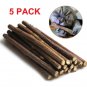 Natural Matatabi Silvervine Dental Cat Nip Sticks Catnip Chew Toy Teeth Cleaning
