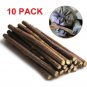 Natural Matatabi Silvervine Dental Cat Nip Sticks Catnip Chew Toy Teeth Cleaning