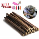 Natural Matatabi Silvervine Dental Cat Nip Sticks Catnip Chew Toy Teeth Cleaning