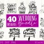 HUGE bundle containing 405 designs in SVG EPS PNG and DXF files â vol 2