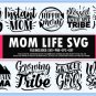 Mega Design Collection with 25 premium bundles, cumulating up to 500 unique SVGs