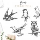 HUGE bundle containing 5 designs in SVG EPS PNG and DXF files