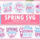 HUGE bundle Spring Designs Bundle Desing T-shirt in SVG EPS PNG and DXF files