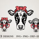 HUGE Cow-Bundle-Cow-Face-Cow Graphic Desing T-shirt in SVG EPS PNG and DXF files