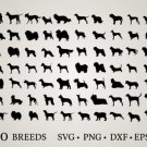 HUGE Bundle Dog-Bundle Graphic Desing T-shirt in SVG EPS PNG and DXF files