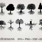 HUGE Bundle Tree-Bundle-Tree-Tree Graphic Desing T-shirt in SVG EPS PNG and DXF files