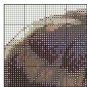 PDF Cross Stitch Pattern