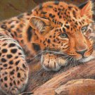 PDF Cross Stitch Pattern