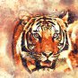 PDF Cross Stitch Pattern