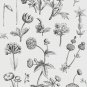 PDF Vintage Cross Stitch Pattern