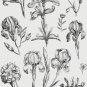 PDF Vintage Cross Stitch Pattern