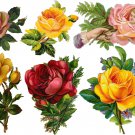 PDF Vintage Cross Stitch Pattern