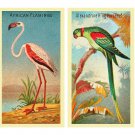 PDF Vintage Cross Stitch Pattern