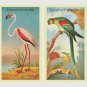 PDF Vintage Cross Stitch Pattern