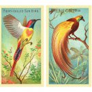 PDF Vintage Cross Stitch Pattern