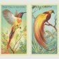 PDF Vintage Cross Stitch Pattern