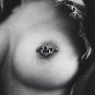 Pair ~ Silver Or Gold Vampire Teeth Nipple Bars