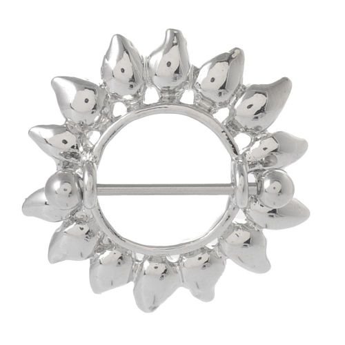 Pair ~ Silver Here Comes The Sun Nipple Bar