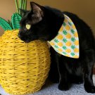 Over the Collar Pet Bandana for Cats & Dogs