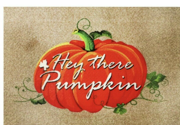 HARVEST THEMED MATS '' HEY THERE PUMPKIN'' 15 X 23  NWT