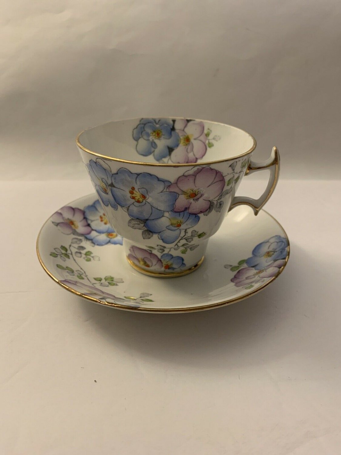 T F & S Ltd England Thomas Forester Phoenix Bone China Floral Cup & Saucer
