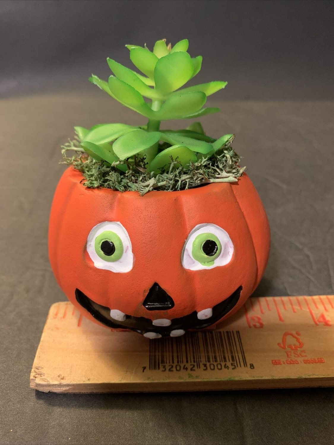 HALLOWEEN DECOR CERAMIC PUMPKIN SUCCULENT PLANT NEW