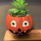 HALLOWEEN DECOR CERAMIC PUMPKIN SUCCULENT PLANT NEW