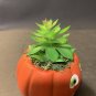 HALLOWEEN DECOR CERAMIC PUMPKIN SUCCULENT PLANT NEW