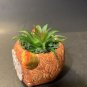 New artificial succulent plant in Ceramic owl pot
