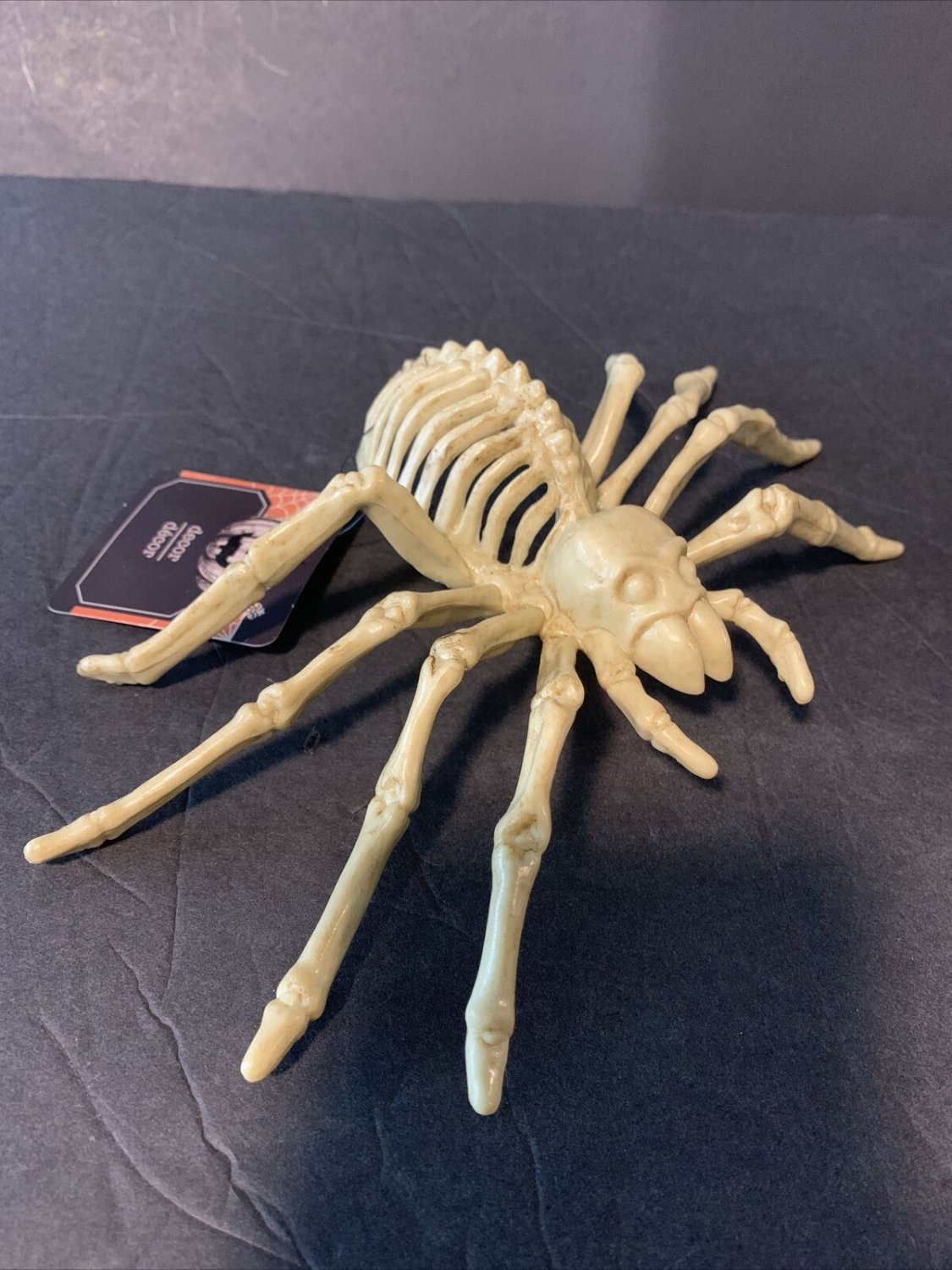Halloween Skeleton Large Spider Scary Plastic Halloween Decor Dead Bones