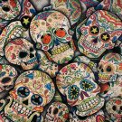 Decoration Sugar Skull - Halloween Throw Pillow Case Cushion Cover NWOT