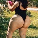 4 x 6 NUDE CURVY THICK BUSTY BRUNETTE 022571 BOOTY 4 x 6 NUDE CURVY THICK BUSTY BRUNETTE 022571 BOOTY