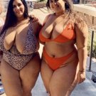 8 x 10 NUDE CURVY BUSTY MODEL 239775 THICKNESS