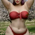 4 x 6 NUDE CURVY BUSTY MODEL 23955378 THICKNESS