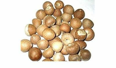 50 g Organic Areca nut natural Areca catechu betel nut dried nuts whole free ceylon