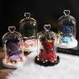 Teddy Bear Flower Eternal Rose Beauty And The Beast Dried Flowers In Glass Dome LED Wedding Home