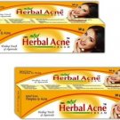 2X HERBAL ACNE CREAM for Pimples, Scar (Healing Touch of Ayurveda) 30 gm