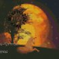 Mini Fantasy Chart Unicorn Under Full Moon