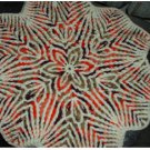 Spotlights Doily