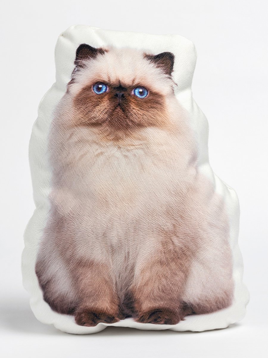 Persian Cat  Shaped Photo Soft Stuffed Decorative Pillow with a zipper