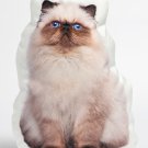 Persian Cat  Shaped Photo Soft Stuffed Decorative Pillow with a zipper