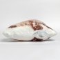Spaniel Dog Shaped Photo Soft Stuffed Decorative Pillow with a zipper